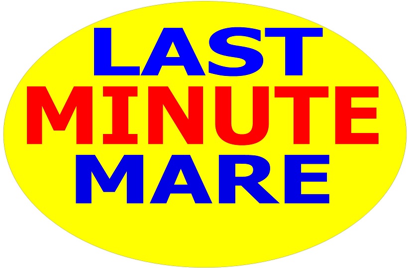 Last minute giugno luglio agosto affitto case appartamenti mare Toscana
