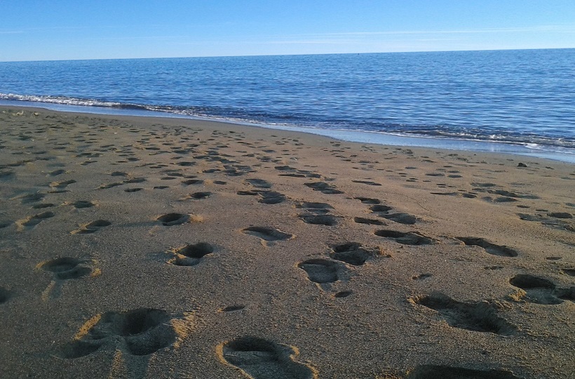 Spiaggia Marina di Bibbona web cam video