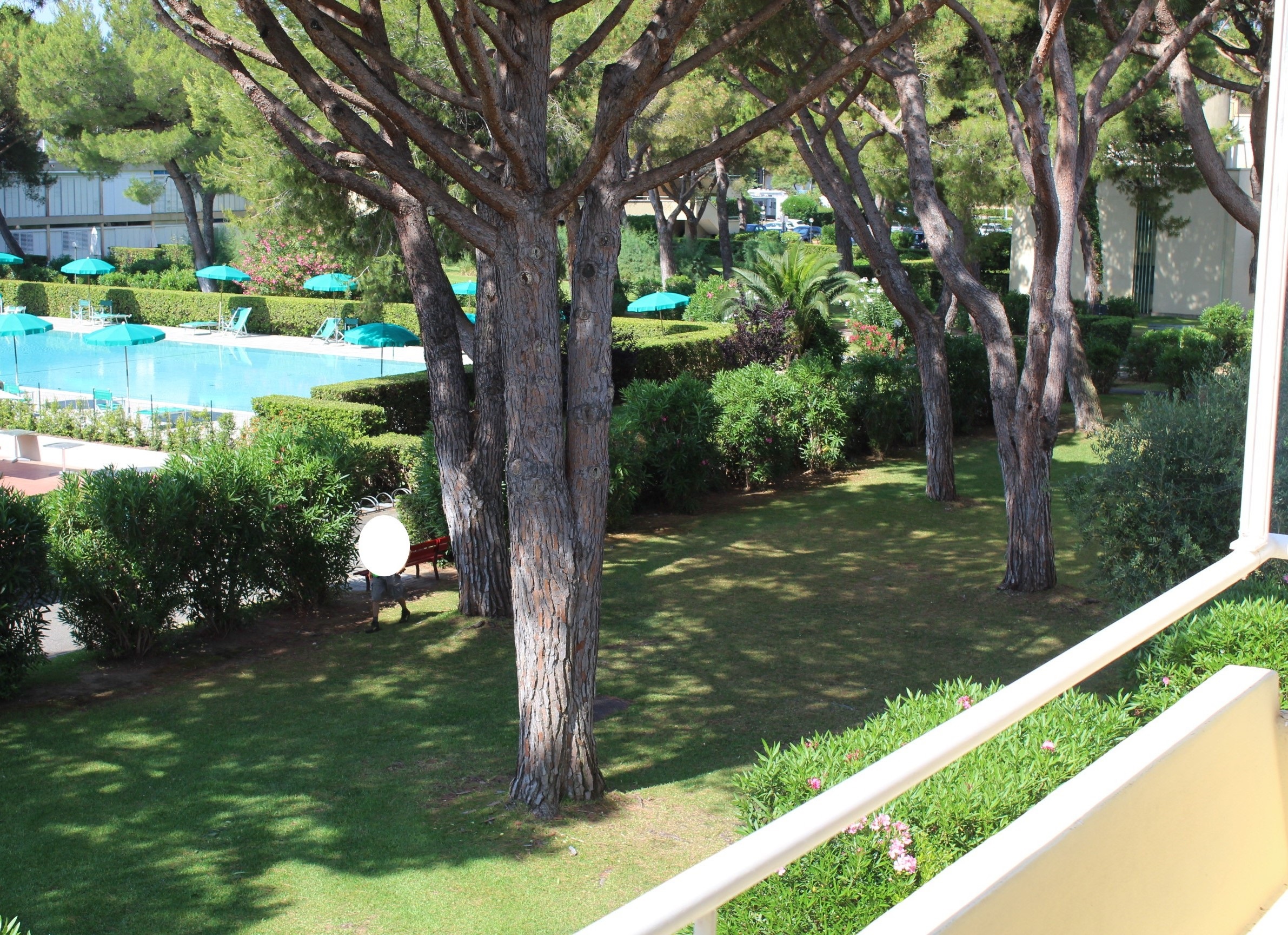Marina di Bibbona in vendita Bilocale con piscina