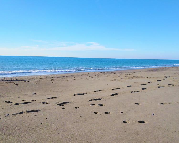 MARINA DI BIBBONA TOSCANA  AFFITTO APPARTAMENTI BILOCALE IN RESIDENCE CON PISCINA, 5 posti letto