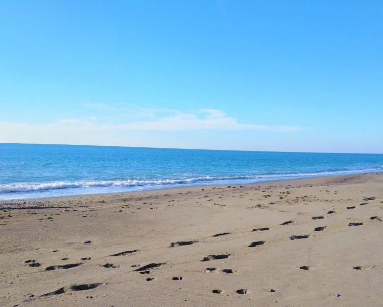 Foto appartamenti Marina di Bibbona